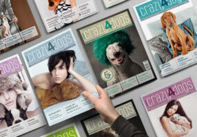crazy4dogs, Hundemagazin, Cover